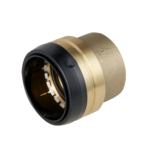 Sharkbite Endkappe SBA0454E